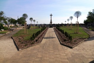 Koválovice hřbitov výsadba