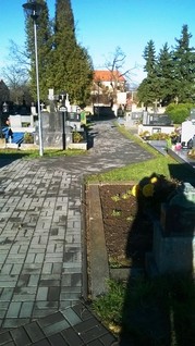 Pavlovice hřbitov komunikace